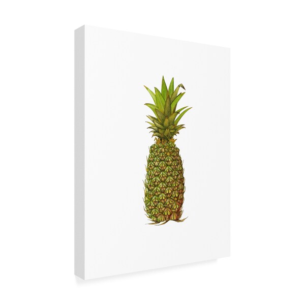 Deborah Kopka 'Vintage Pineapple' Canvas Art,18x24